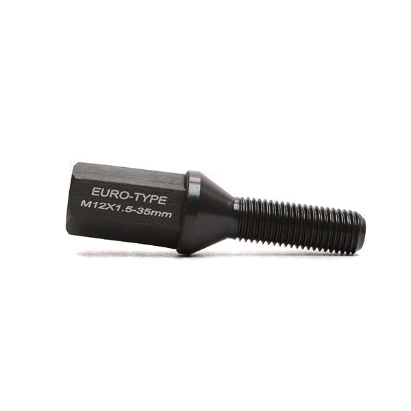 Godspeed Euro-Type Taper Cone Lug Bolts 10 Piece Set