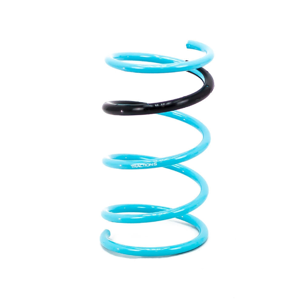 Godspeed Traction-S Performance Lowering Springs For Nissan Maxima (A33) 2000-03