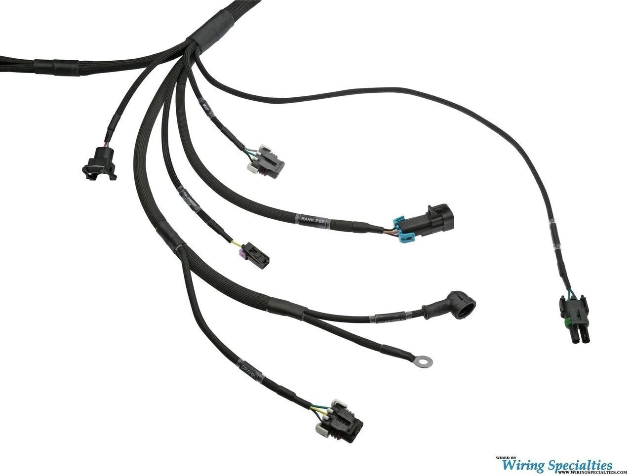 Wiring Specialties LS1 PRO Series Harness for R33 Skyline GT-S – WRS-PROLS1-R33