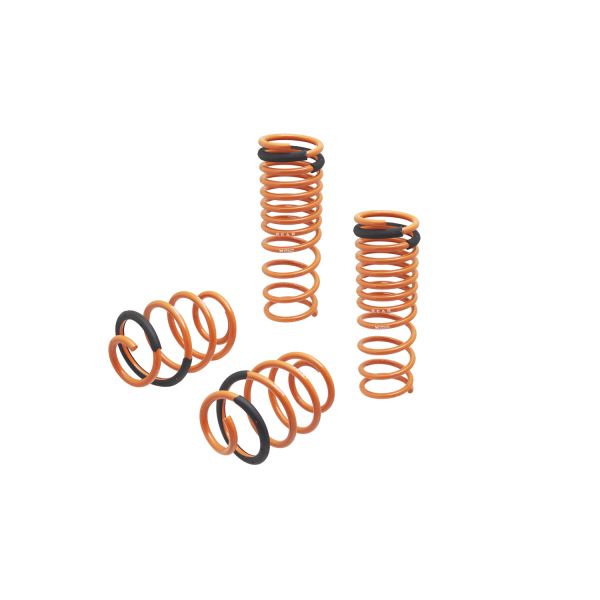 Megan Racing Lowering Springs Honda Accord 13-17