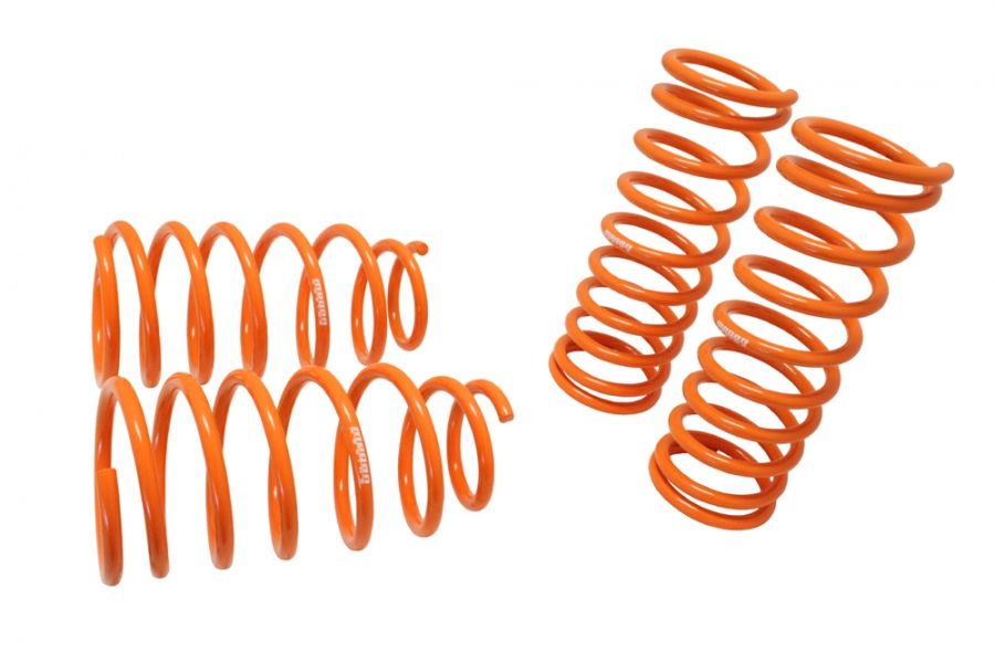 Megan Racing Lowering Springs for KIA Rio 2000-2005