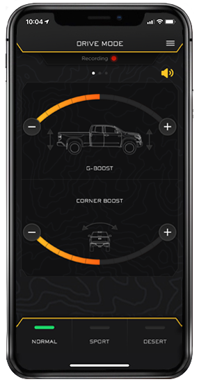 ICON  K53278