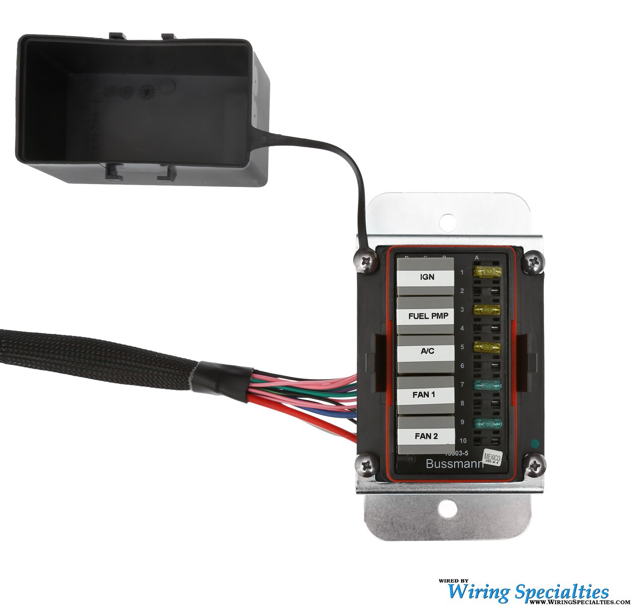 Wiring Specialties K24 PRO Series Universal Standalone RWD Harness WRS-PROK20K24-UNI