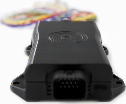 Wiring Specialties Adapter Complete - SR20DET S13 CAN I/O Extender Adapter Swap PTD-CANIO