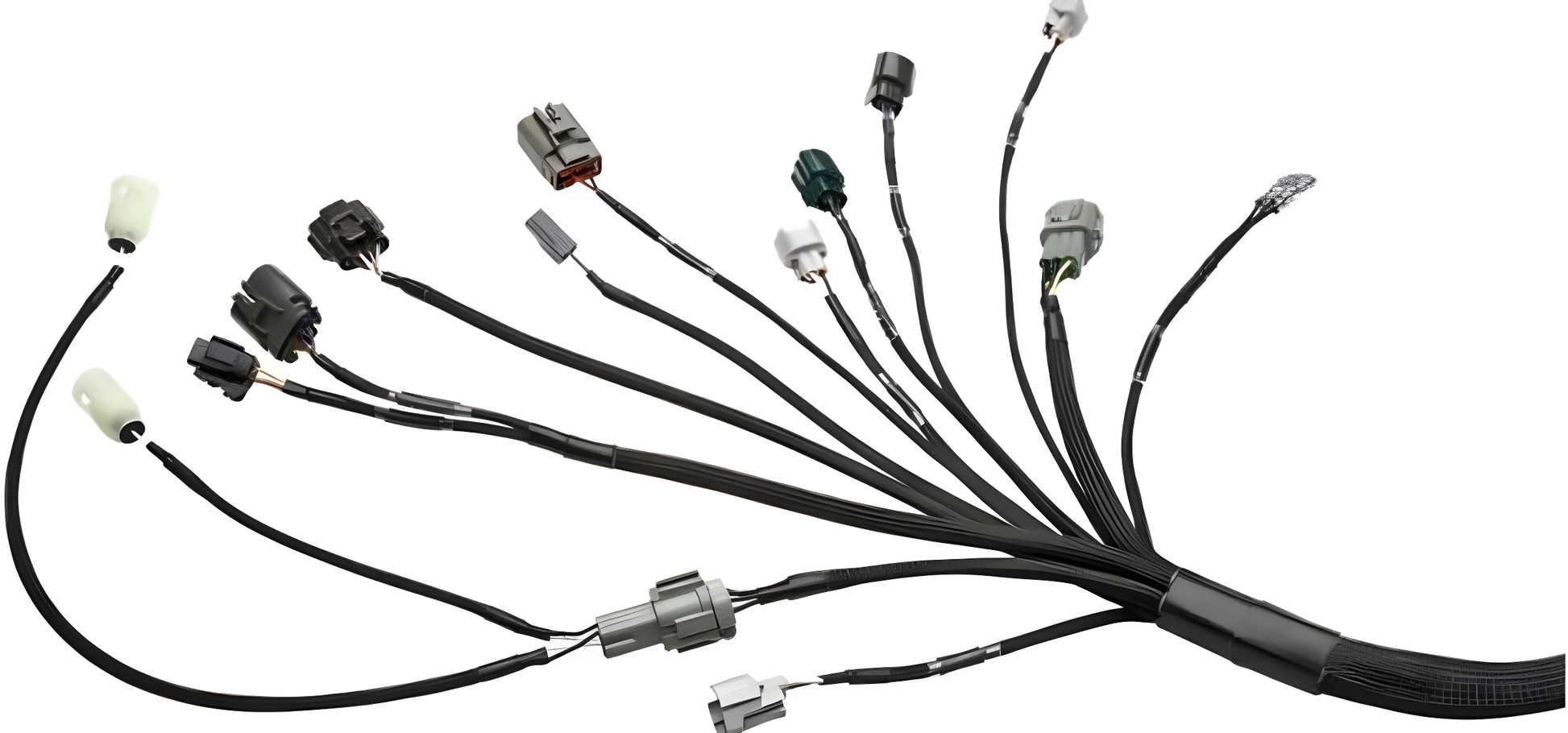 Wiring Specialties Closeup View - Standalone RB25DET NEO PRO Series Harness Universal WRS-PRORB25NEO-UNI