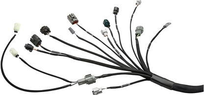 Wiring Specialties Closeup View - Standalone RB25DET NEO PRO Series Harness Universal WRS-PRORB25NEO-UNI