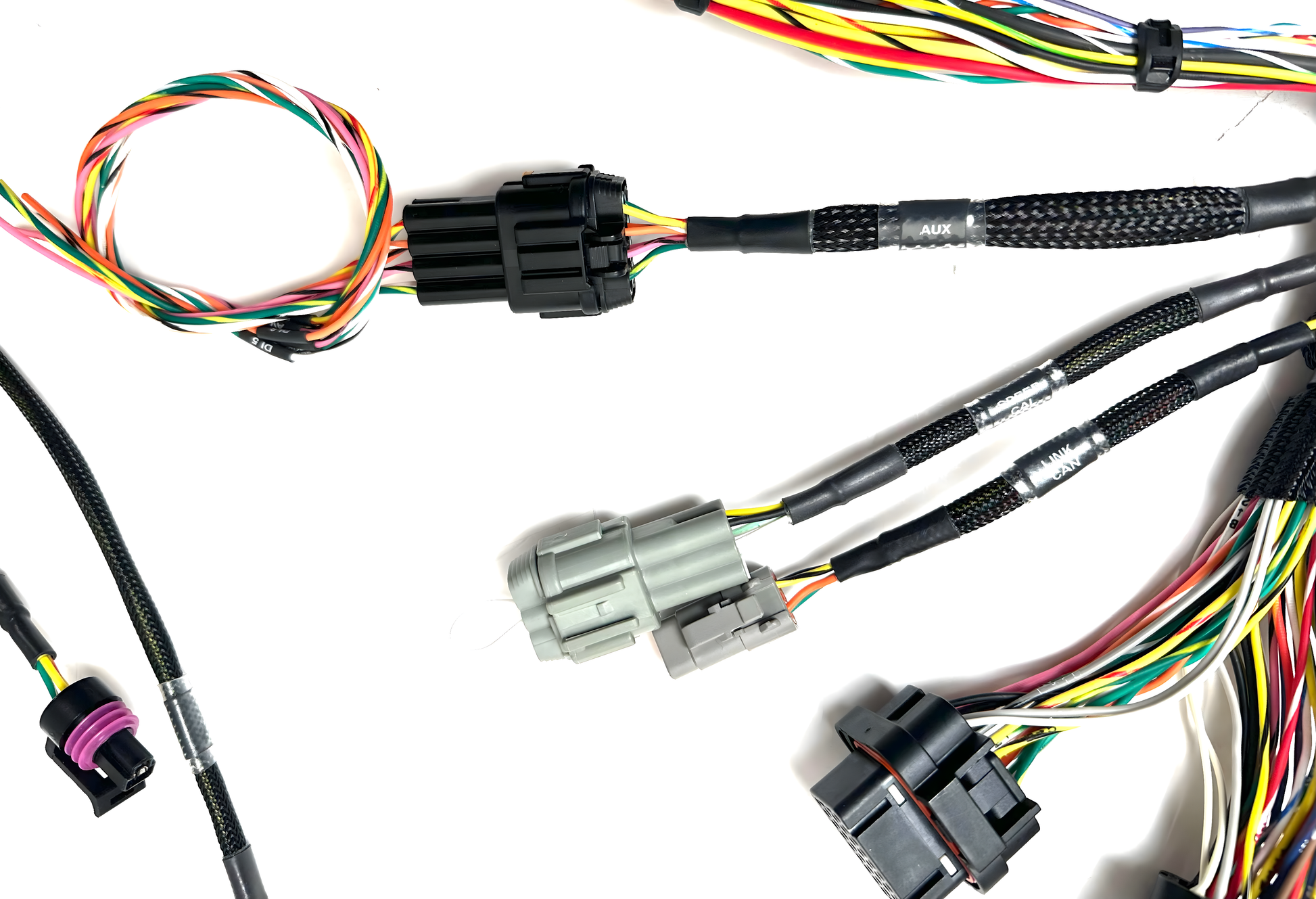 Wiring Specialties Closeup View - SR20DET PRO Series Harness S13 240SX WRS-PROK20K24-LINKHALECU-S13-SIL180