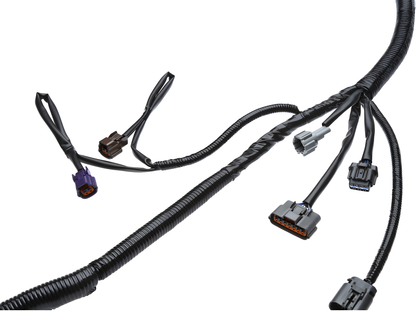 Wiring Specialties Closeup View - RB25DET Harness S14 240SX OEM Series COMBO WRS-RB25S14-COMBO