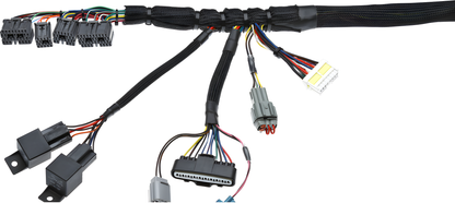 Wiring Specialties Closeup View - 1JZGTE VVTi Harness for BMW E39 PRO Series WRS-PRO1JZVVTI-E39