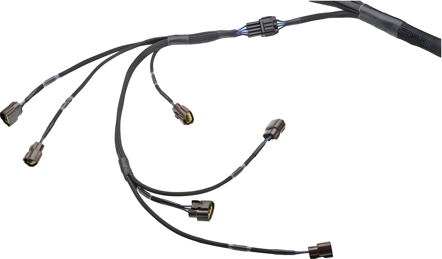 Wiring Specialties Closeup View - RB20DET PRO Series Standalone Harness Universal WRS-PRORB20-UNI