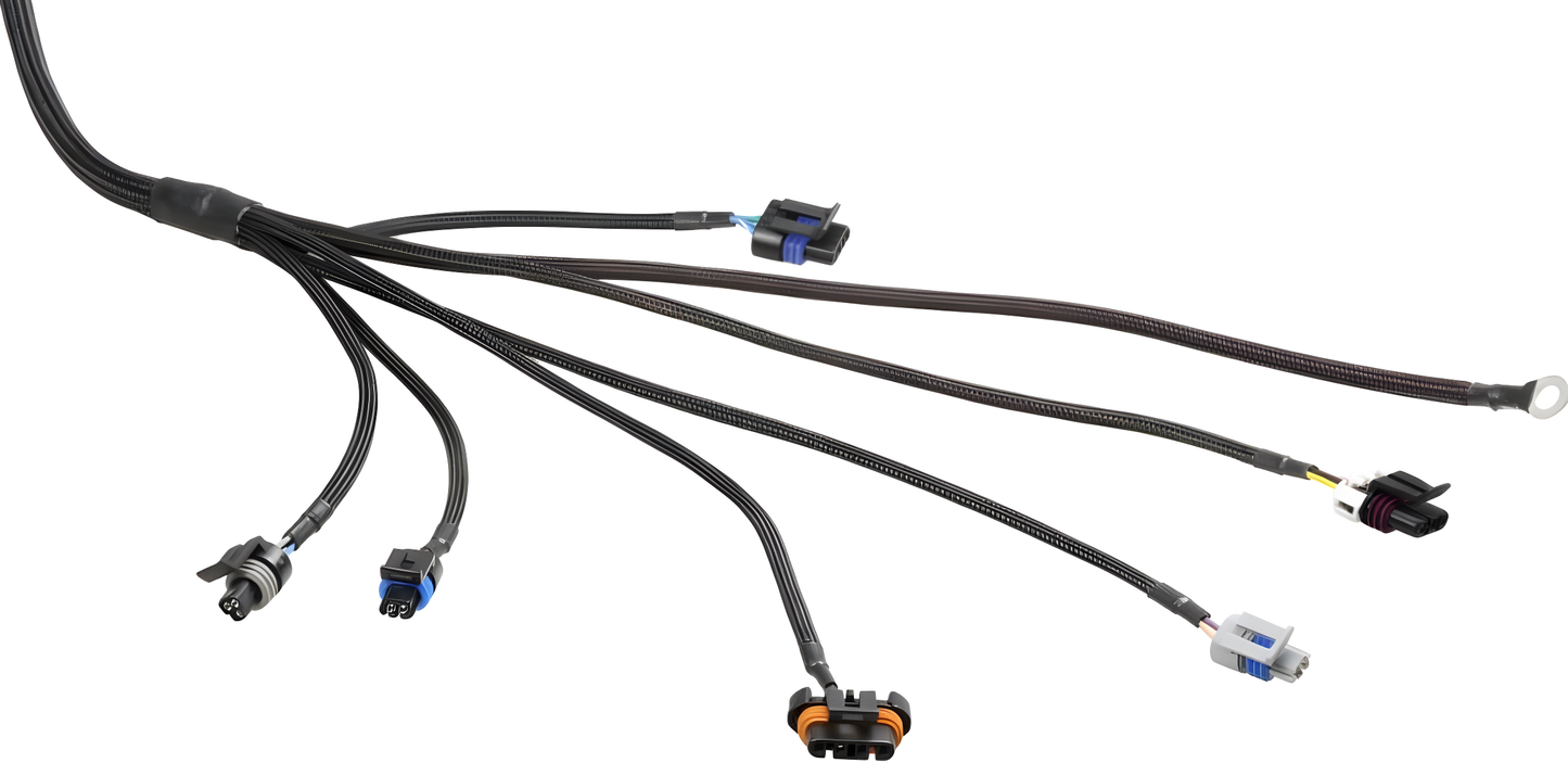 Wiring Specialties Closeup View - LS1 PRO Series Harness SIKKY Stage 3 Nissan S13 240sx Swap Kit WSP-SIKKY-S13