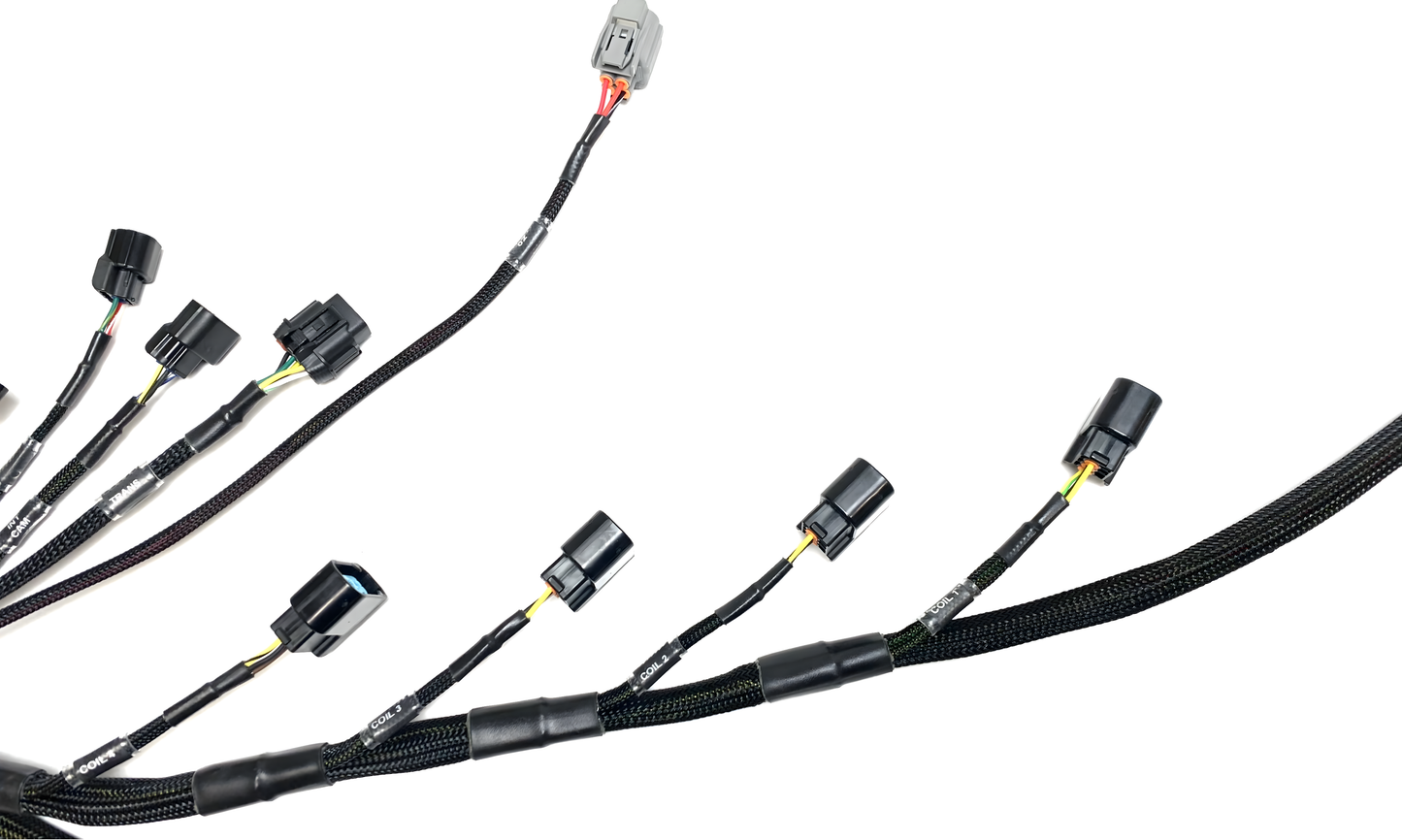 Wiring Specialties Closeup View - SR20DET PRO Series Harness for LHD USDM Z34 370Z - WRS-PROK20K24-370Z
