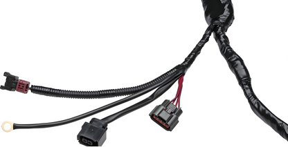 Wiring Specialties Closeup View - SR20DET PRO Series Harness for S13 240SX – WRS-S13S13-MAIN