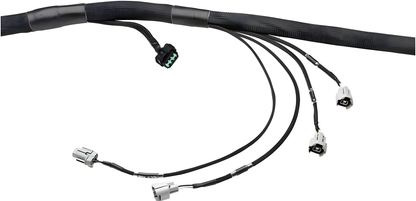 Wiring Specialties Closeup View - RB25DET NEO PRO Series Harness for Classic Datsuns WRS-PRORB25NEO-DAT