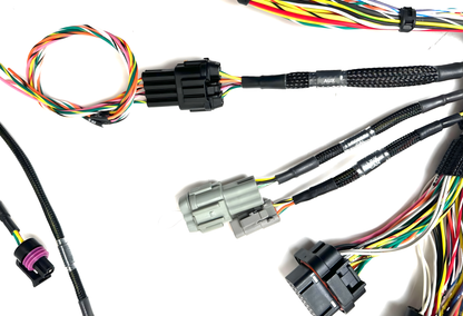 Wiring Specialties Closeup View - K24 Harness Nissan R32 GTS PRO Series WRS-PROK20K24-LINKHALECU-R32-GTS