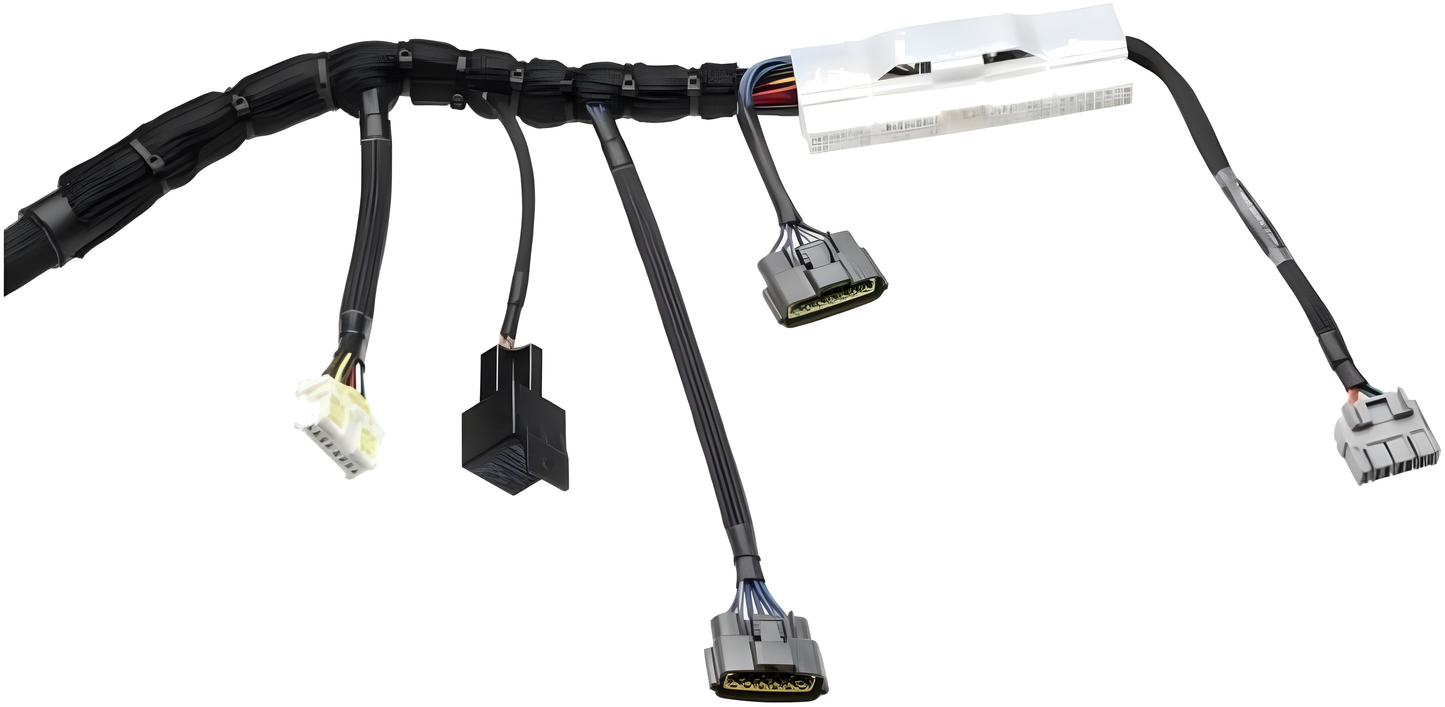 Wiring Specialties Closeup View - RB25DET PRO Series Harness for BMW E36 – WRS-PRORB25-E36