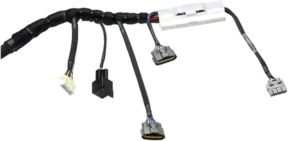 Wiring Specialties Closeup View - RB25DET PRO Series Harness for BMW E36 – WRS-PRORB25-E36