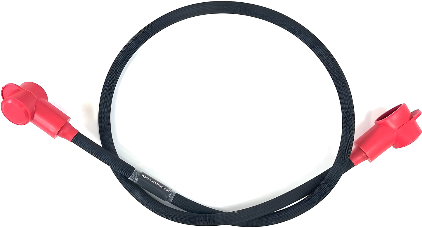 Wiring Specialties Closeup View - LS3 PRO Series Harness for BMW E46 - WRS-PROLS3-HAL-ELITE2500-E46