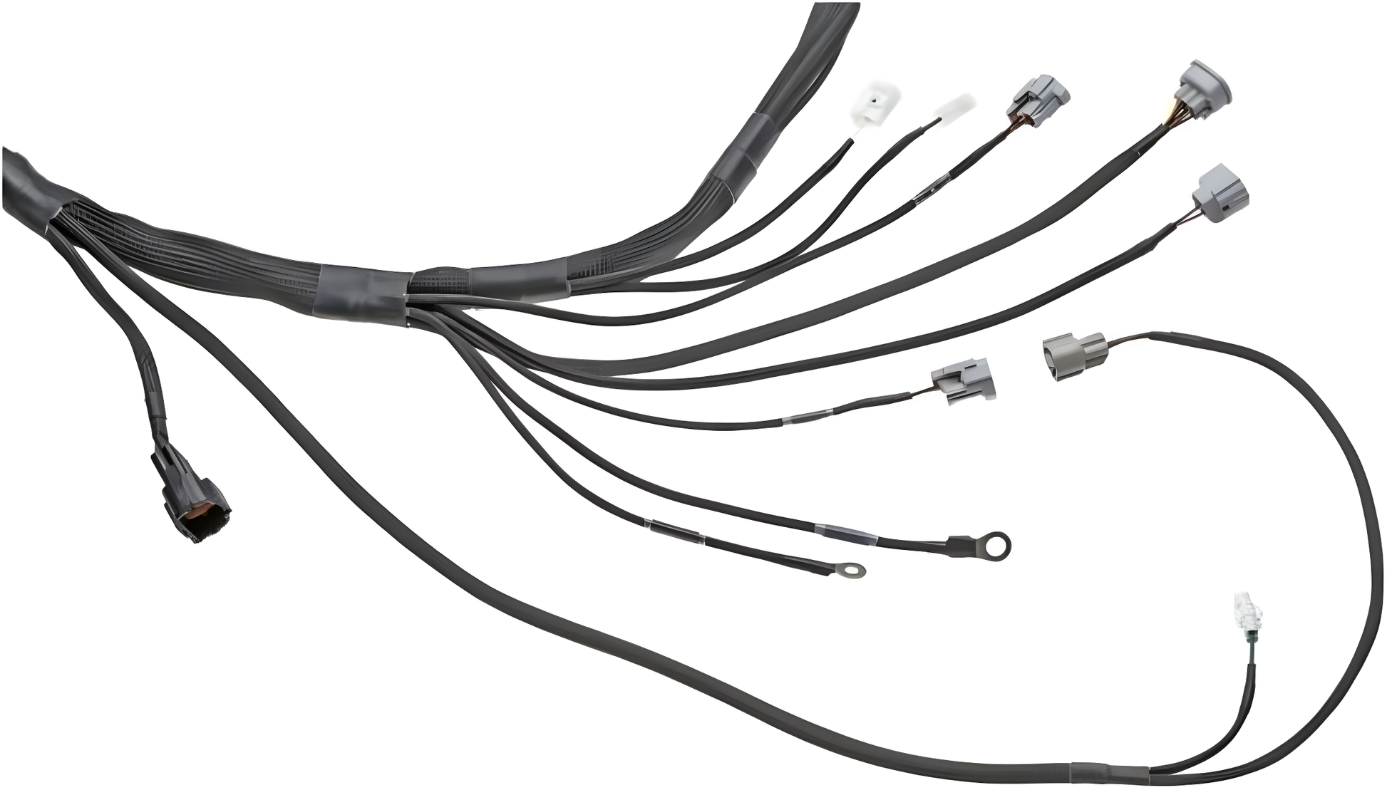 Wiring Specialties Closeup View - 1JZGTE Harness for Z32 300ZX / Fairlady - PRO SERIES WRS-PRO1JZ-Z32