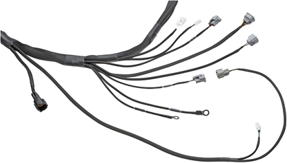 Wiring Specialties Closeup View - 1JZGTE Harness for Z32 300ZX / Fairlady - PRO SERIES WRS-PRO1JZ-Z32