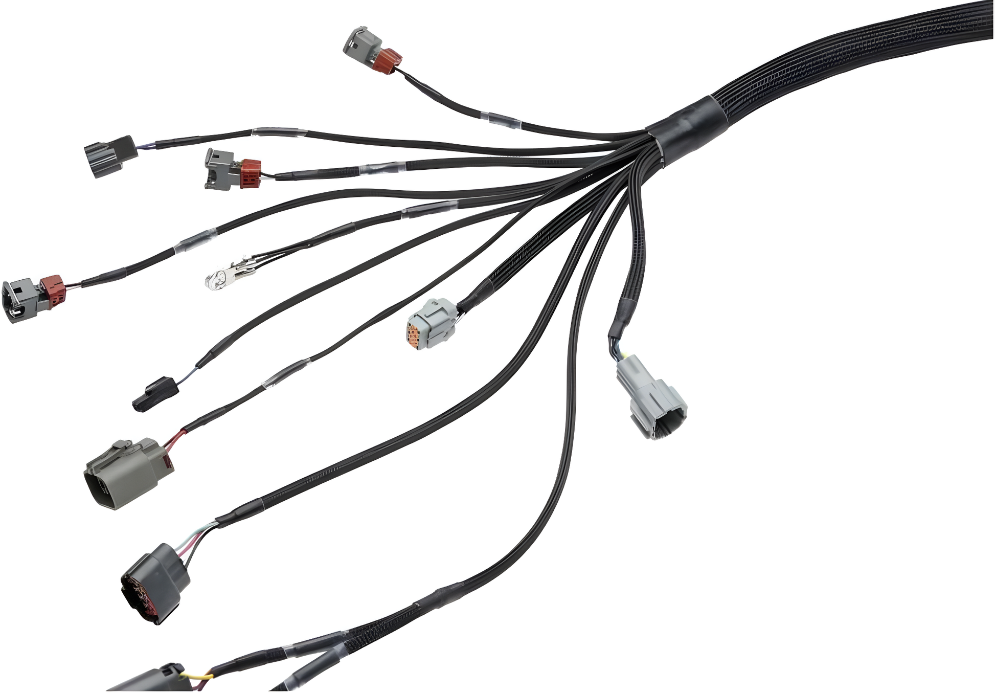 Wiring Specialties Closeup View - RB20DET Harness for S14 240sx PRO Series WRS-PRORB20-S14