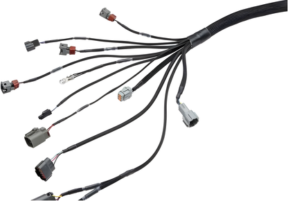 Wiring Specialties Closeup View - RB20DET Harness for S14 240sx PRO Series WRS-PRORB20-S14