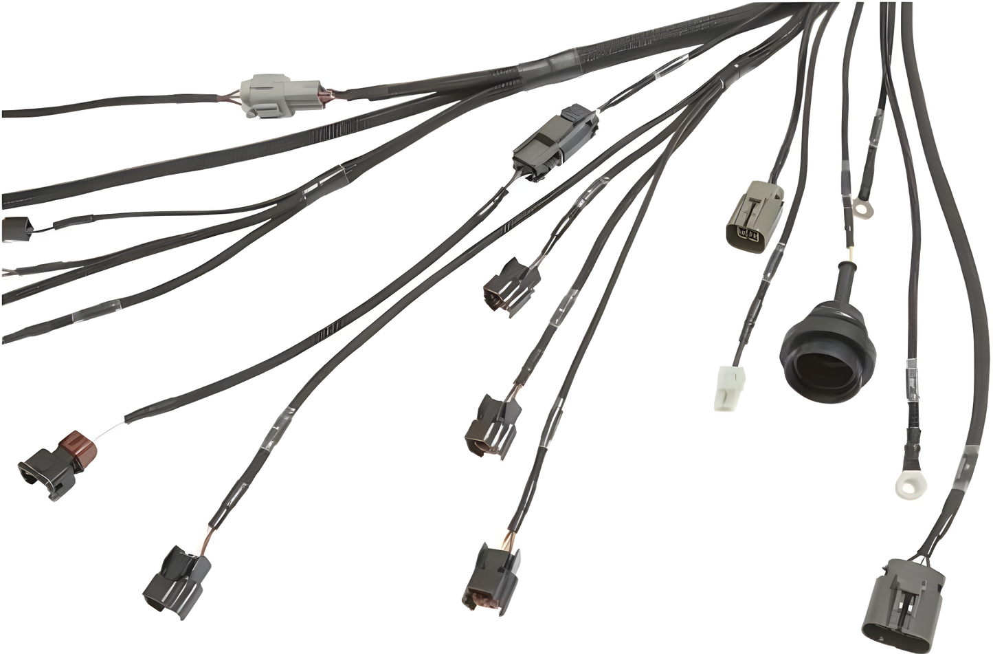 Wiring Specialties Closeup View - SR20DET PRO Series Harness for BMW E36 – Part WRS-PROS13SR20-E36
