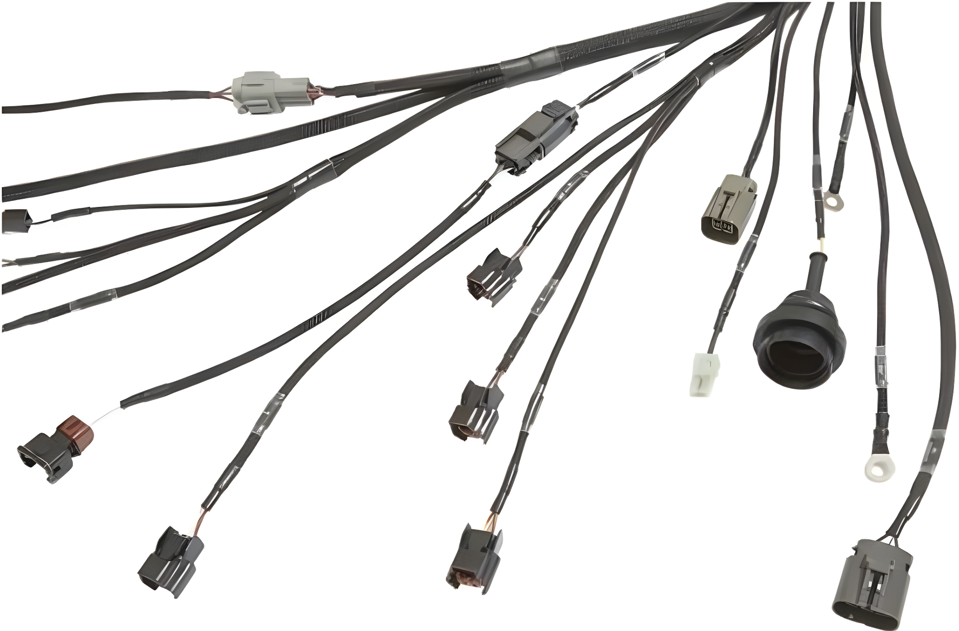 Wiring Specialties Closeup View - SR20DET PRO Series Harness for BMW E36 – Part WRS-PROS13SR20-E36