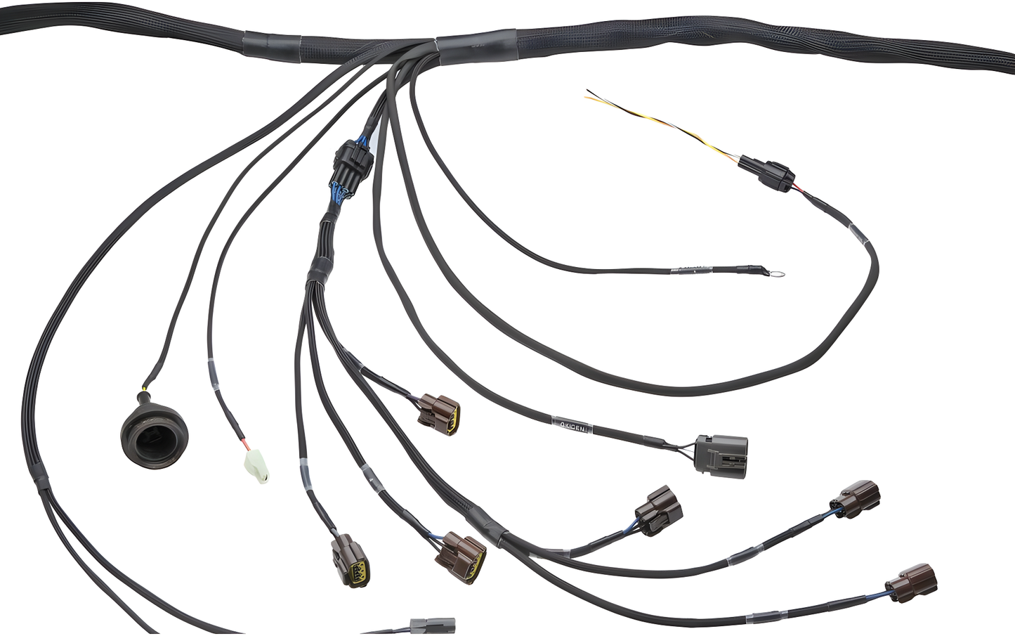 Wiring Specialties Closeup View - RB20DET PRO Series Harness for BMW E30 - WRS-PRORB20-E30