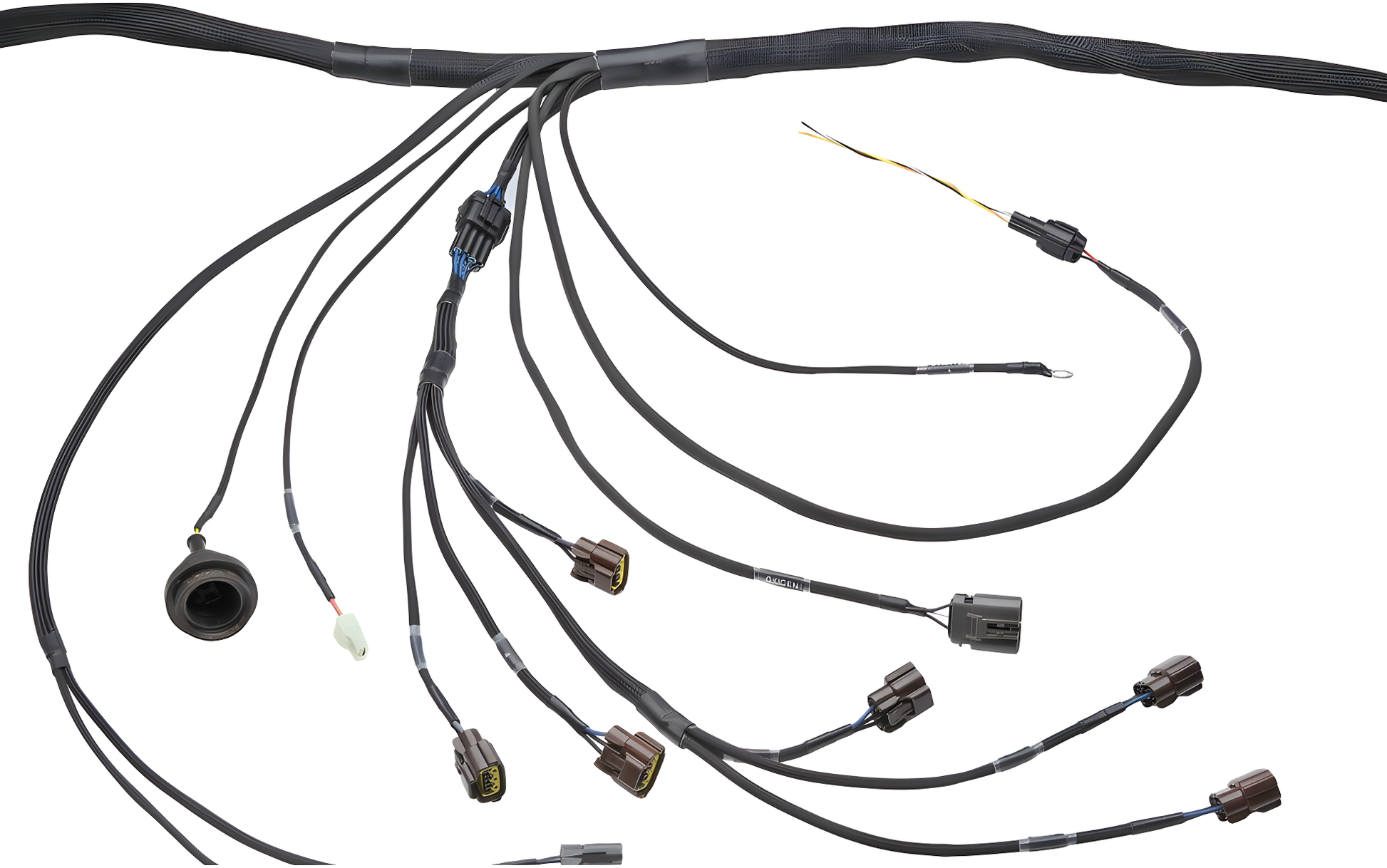 Wiring Specialties Closeup View - RB20DET PRO Series Harness for BMW E30 - WRS-PRORB20-E30