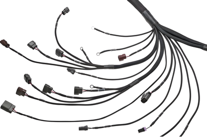 Wiring Specialties Closeup View - Q45 VH45DE PRO Series Harness for S14 240SX – WRS-PROVH45-S14