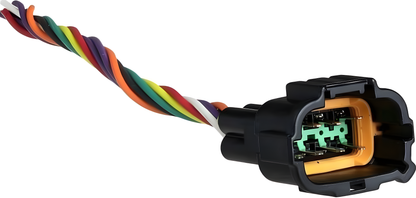 Wiring Specialties RB25 Connector Standalone WRSS2COILC Main Photo
