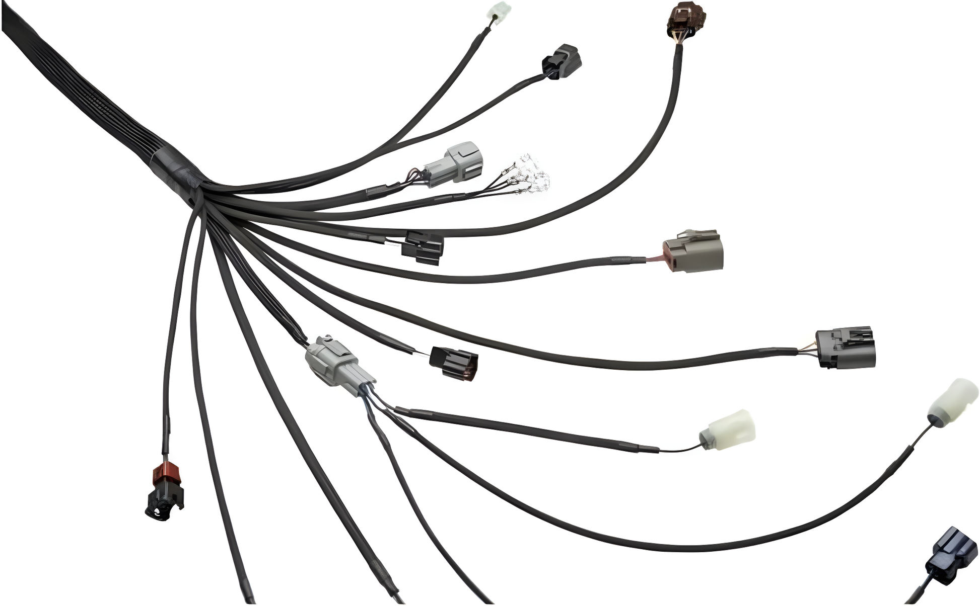 Wiring Specialties Connector Plug Closeup - RB25DET Standalone Harness - PRO SERIES Universal WRS-PRORB25-UNI