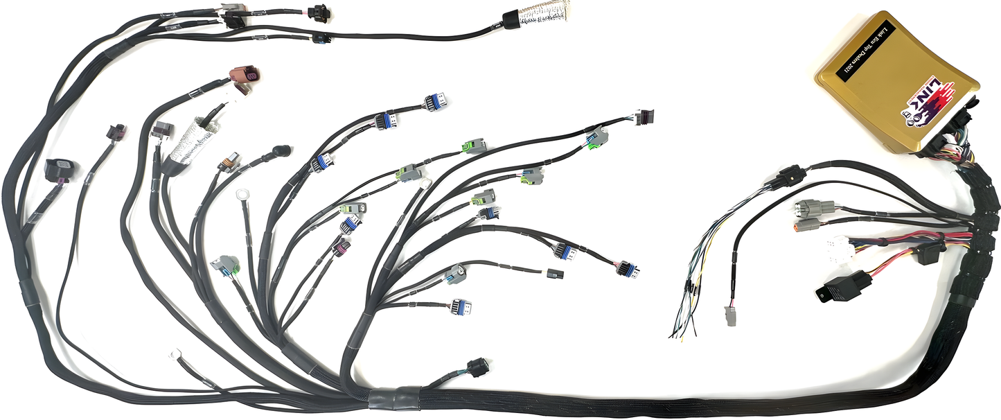 Wiring Specialties Connector Plug Closeup - LS3 PRO Series Harness for BMW E46 - WRS-PROLS3-HAL-ELITE2500-E46