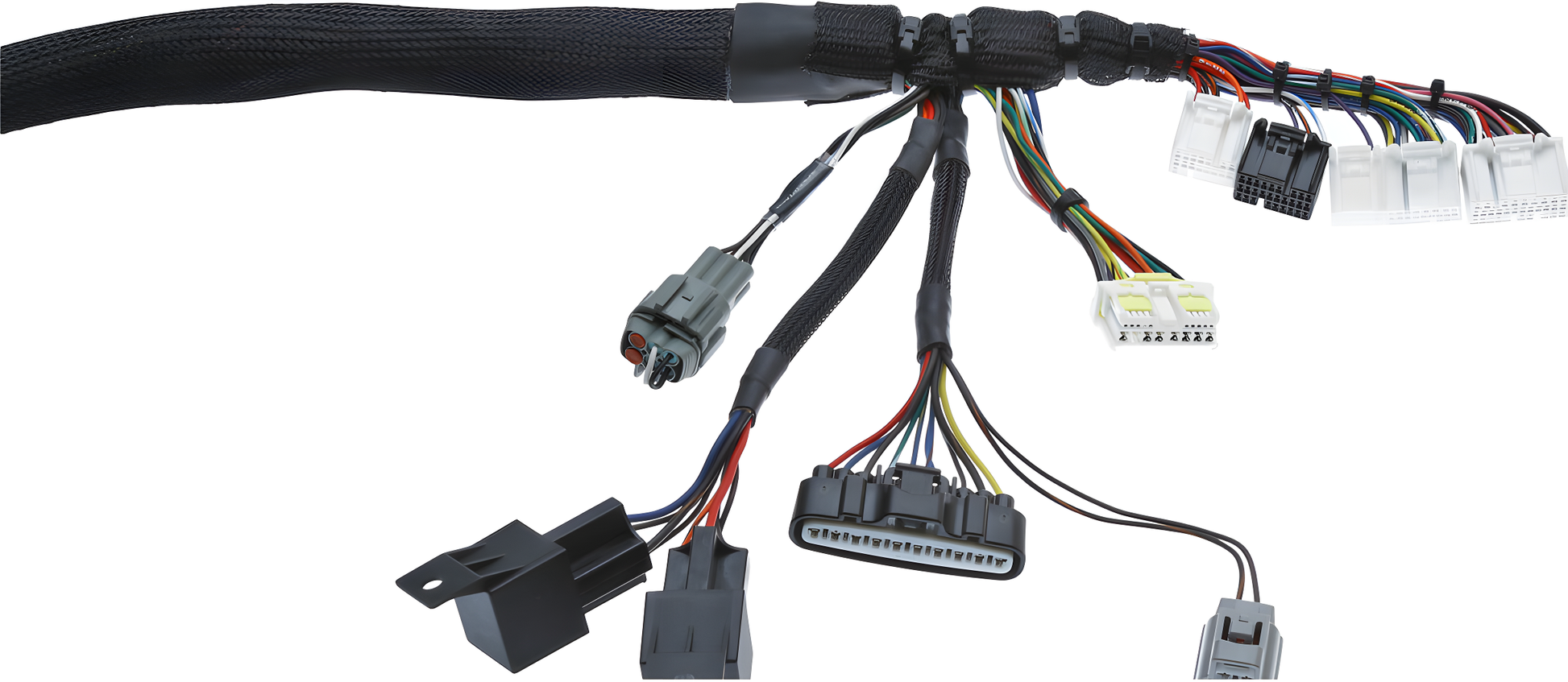 Wiring Specialties Connector Plug Closeup - 2JZGTE / 2JZGE VVTi PRO Series Harness for R32 Skyline GT-S WRS-PRO2JZVVTI-R32GTS