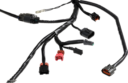 Wiring Specialties Connector Plug Closeup - KA24DE PRO Series Harness S13 240SX COMBO WRS-KA24S13-COMBO