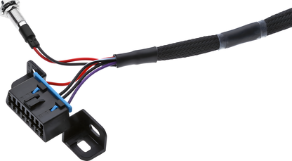 Wiring Specialties Connector Plug Closeup - LS1 Harness PRO Series Universal WRS-PROLS1-UNI-PCU-HPT-COMBO