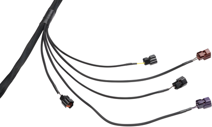Wiring Specialties Connector Plug Closeup - RB25DET PRO Series Harness JDM RHD C33 Laurel WRS-PRORB25-C33