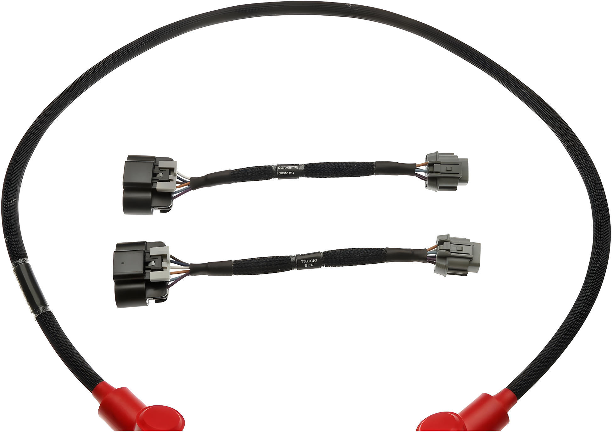 Wiring Specialties Connector Plug Closeup - LS3 Gen IV Harness for Datsun - PRO SERIES WRS-PROLS3-DAT
