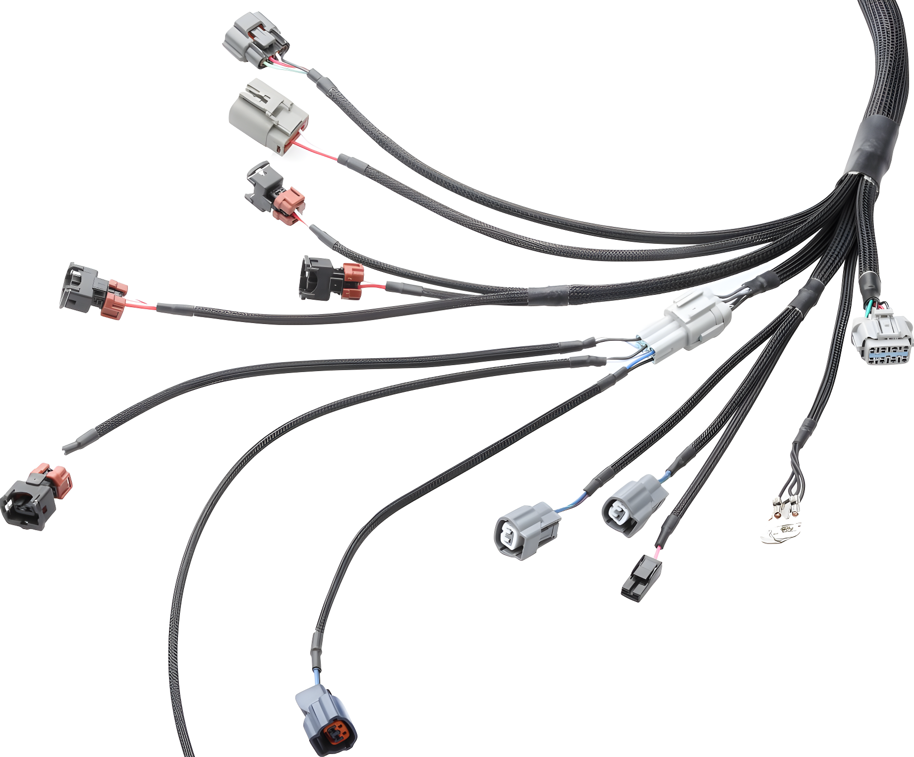 Wiring Specialties Connector Plug Closeup - RB26DETT Harness For 370Z - CANBUS PRO SERIES WRS-PRORB26-370Z