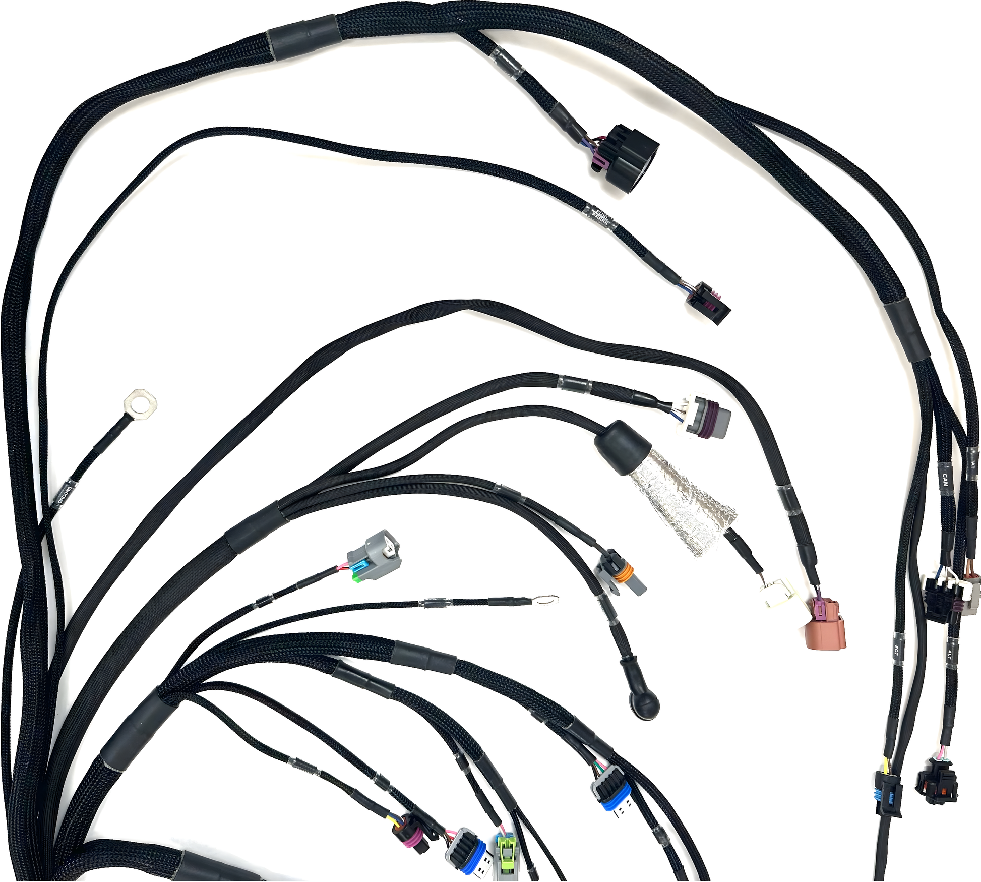 Wiring Specialties Connector Plug Closeup - LS3 PRO Series Harness for S13 240SX - WRS-PROLS3-LINK-XTR-S13