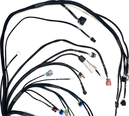 Wiring Specialties Connector Plug Closeup - LS3 PRO Series Harness for S13 240SX - WRS-PROLS3-LINK-XTR-S13