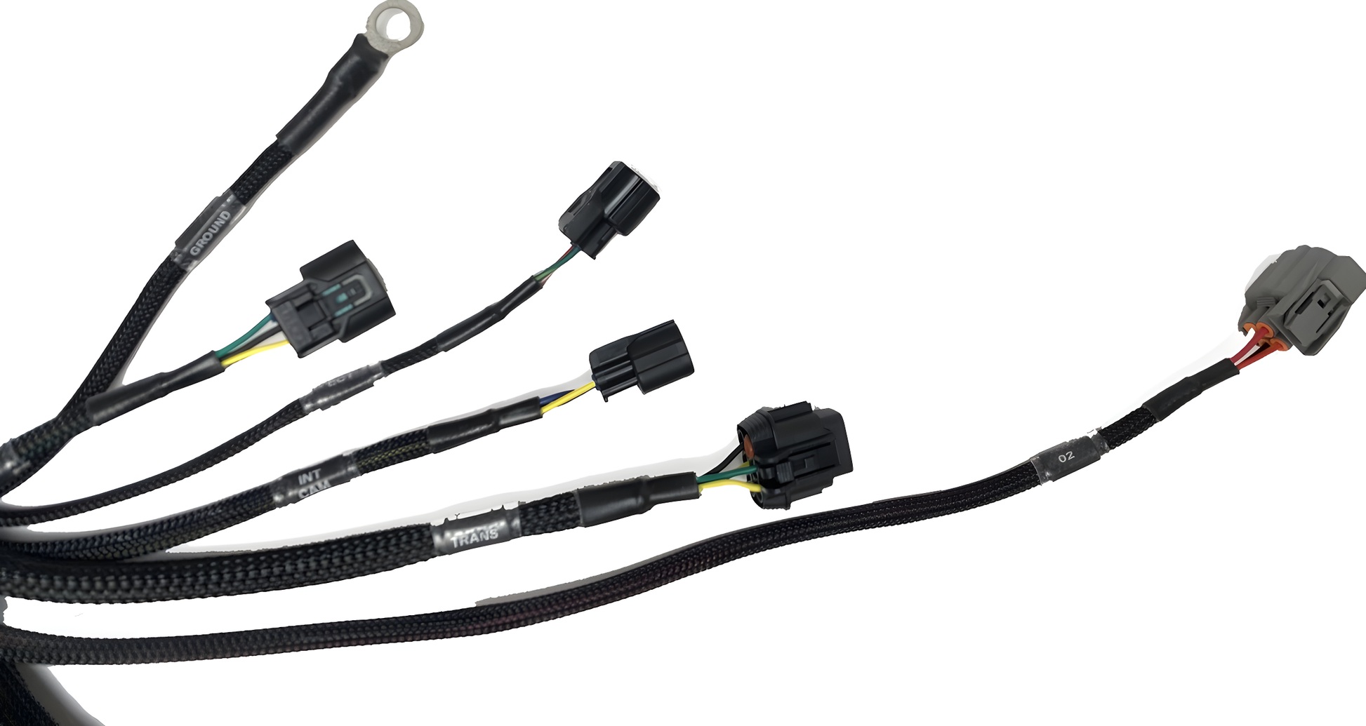 Wiring Specialties Connector Plug Closeup - K24 PRO Series Harness BMW E30 WRS-PROK20K24-E30