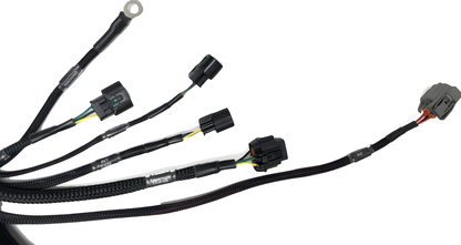 Wiring Specialties Connector Plug Closeup - K24 PRO Series Harness BMW E30 WRS-PROK20K24-E30