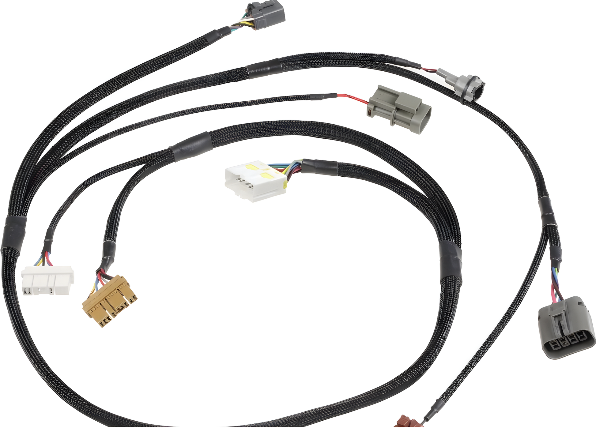 Wiring Specialties Connector Plug Closeup - LSx Gen IV DBC Wiring Harness for S13 240sx - PRO SERIES WRS-PROLSXG4-S13