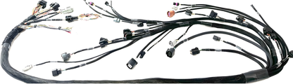 Wiring Specialties Connector Plug Closeup - K-Series LINK G4 ECU Wiring Harness for BMW E46 PRO Series WRS-PROK20K24-LINK-E46