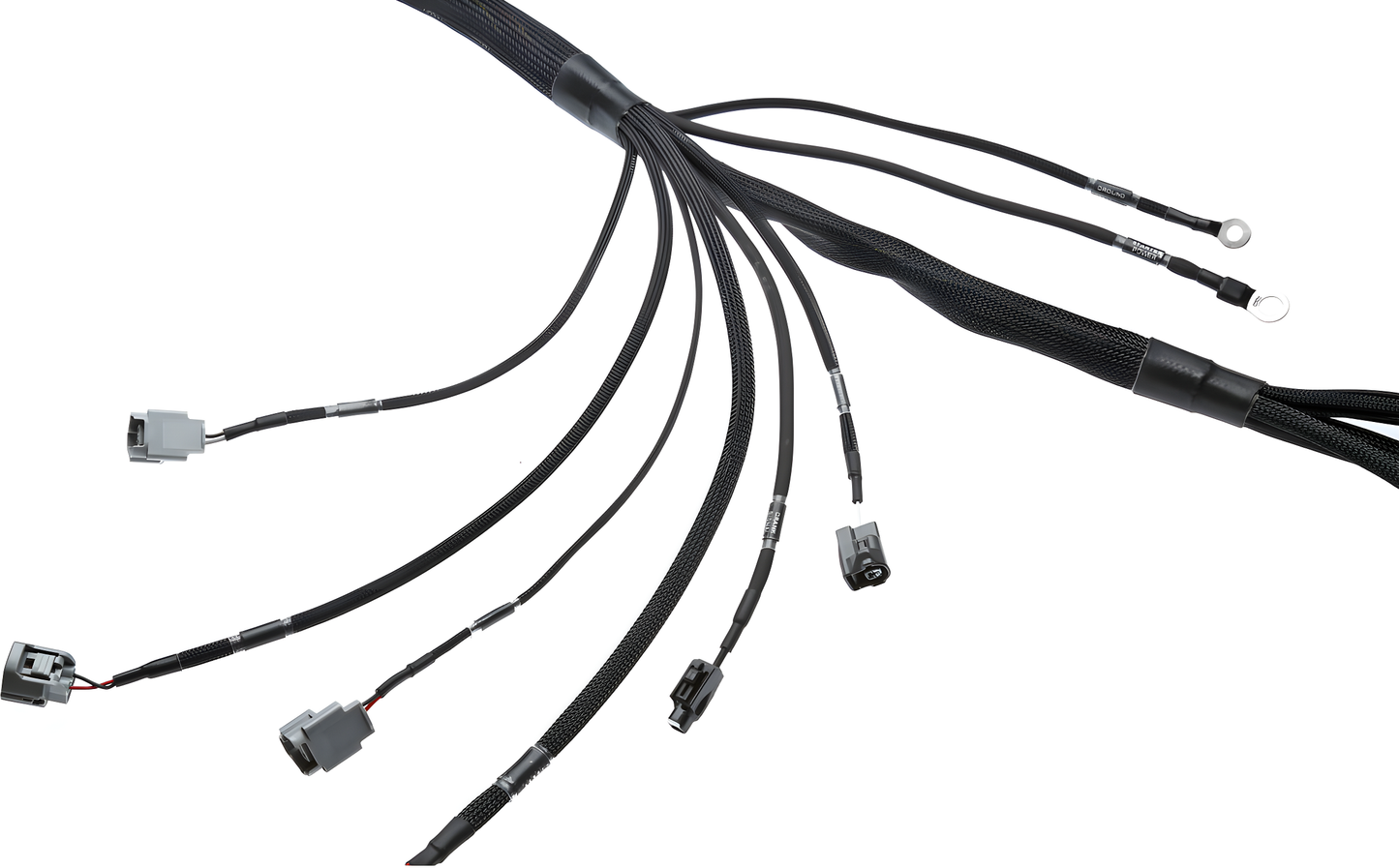 Wiring Specialties Connector Plug Closeup - 1JZGTE VVTi Harness for 370Z PRO Series WRS-PRO1JZVVTI-370Z