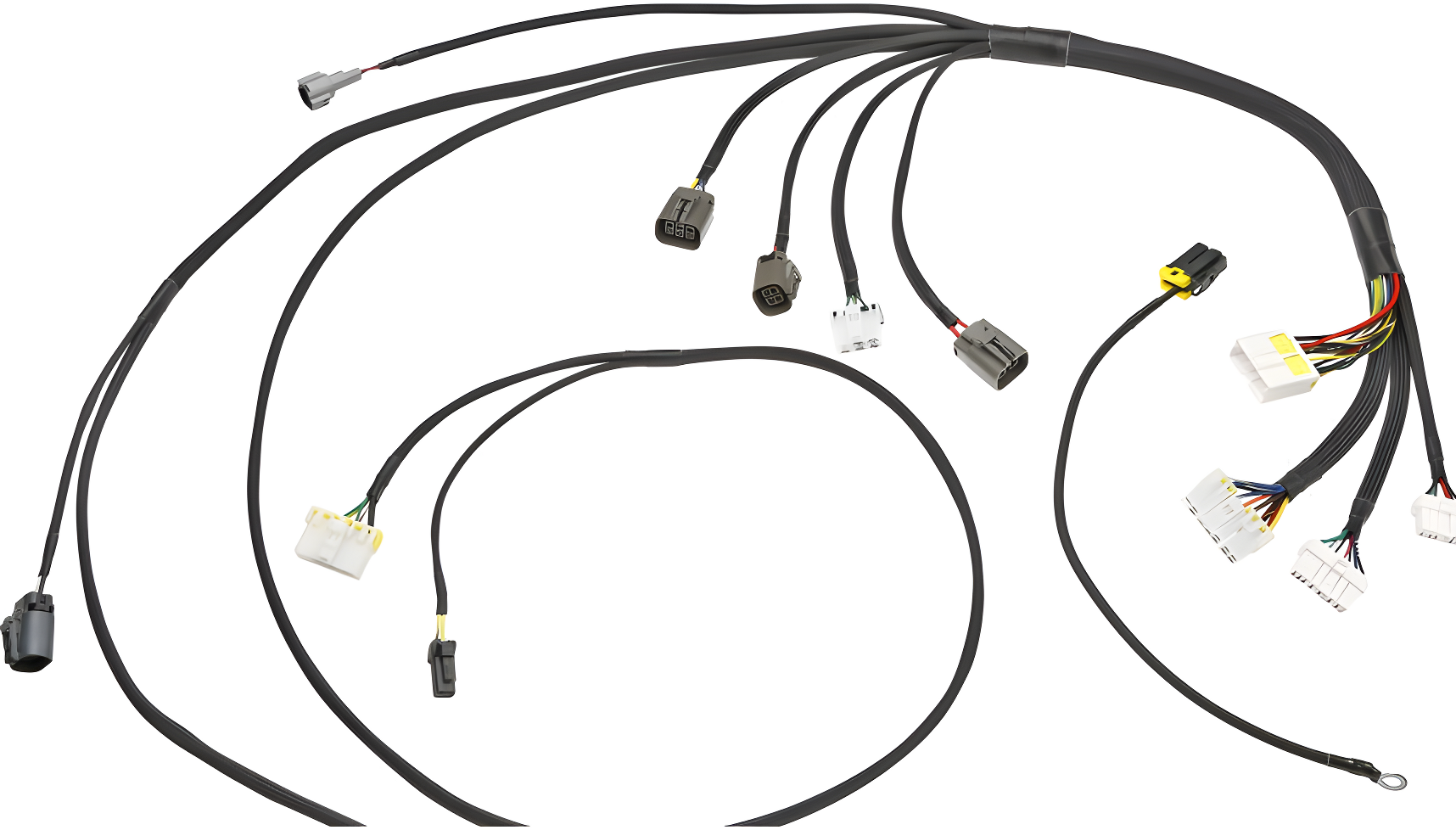 Wiring Specialties Detail Assembly - RB20DET Harness for C33 Laurel (JDM RHD) - PRO SERIES WRS-PRORB20-C33