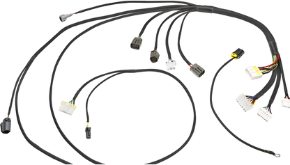 Wiring Specialties Detail Assembly - RB20DET Harness for C33 Laurel (JDM RHD) - PRO SERIES WRS-PRORB20-C33