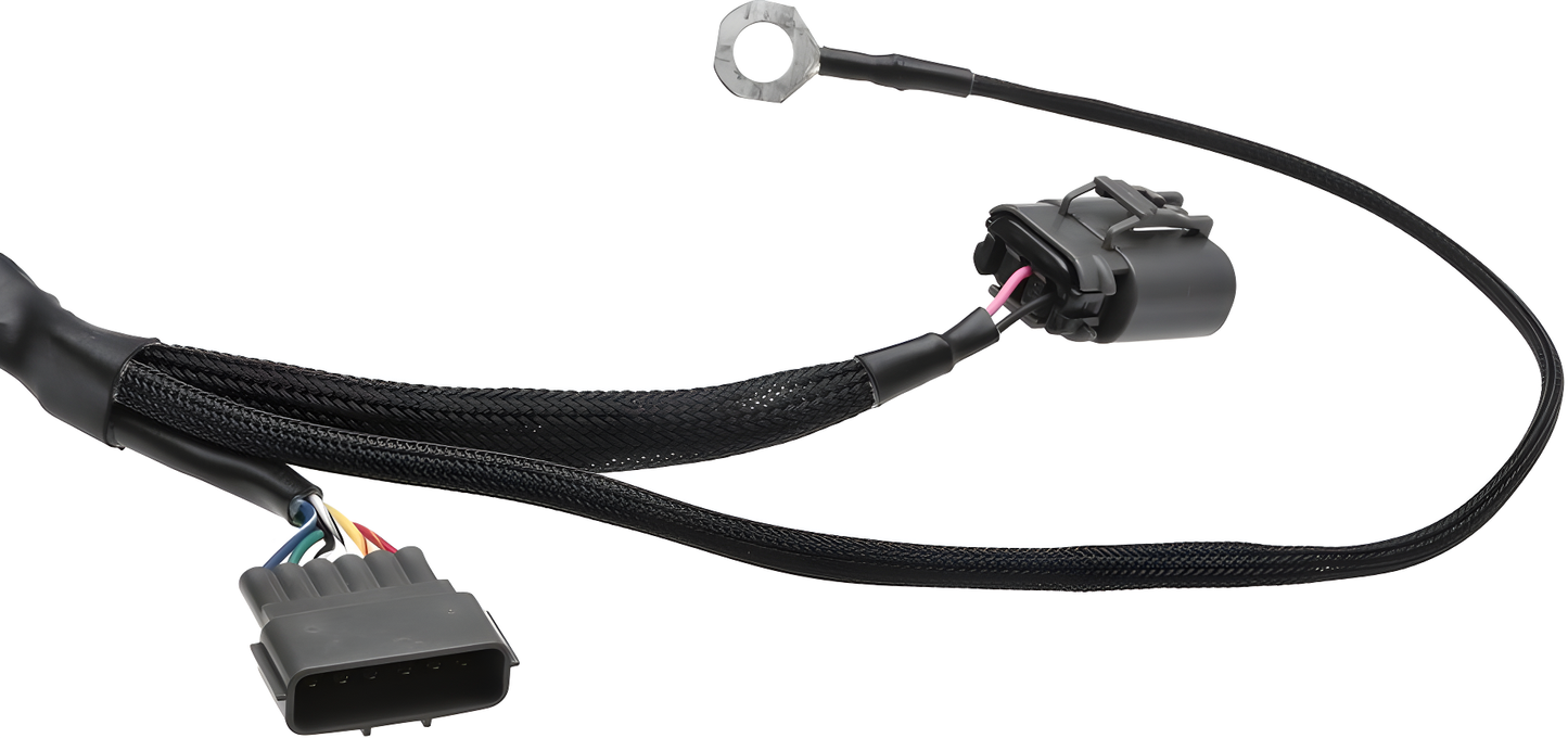 Wiring Specialties Detail Assembly - RB20DET Coil Conversion Kit for S13 Swap – WRS-RB20LS2-COIL